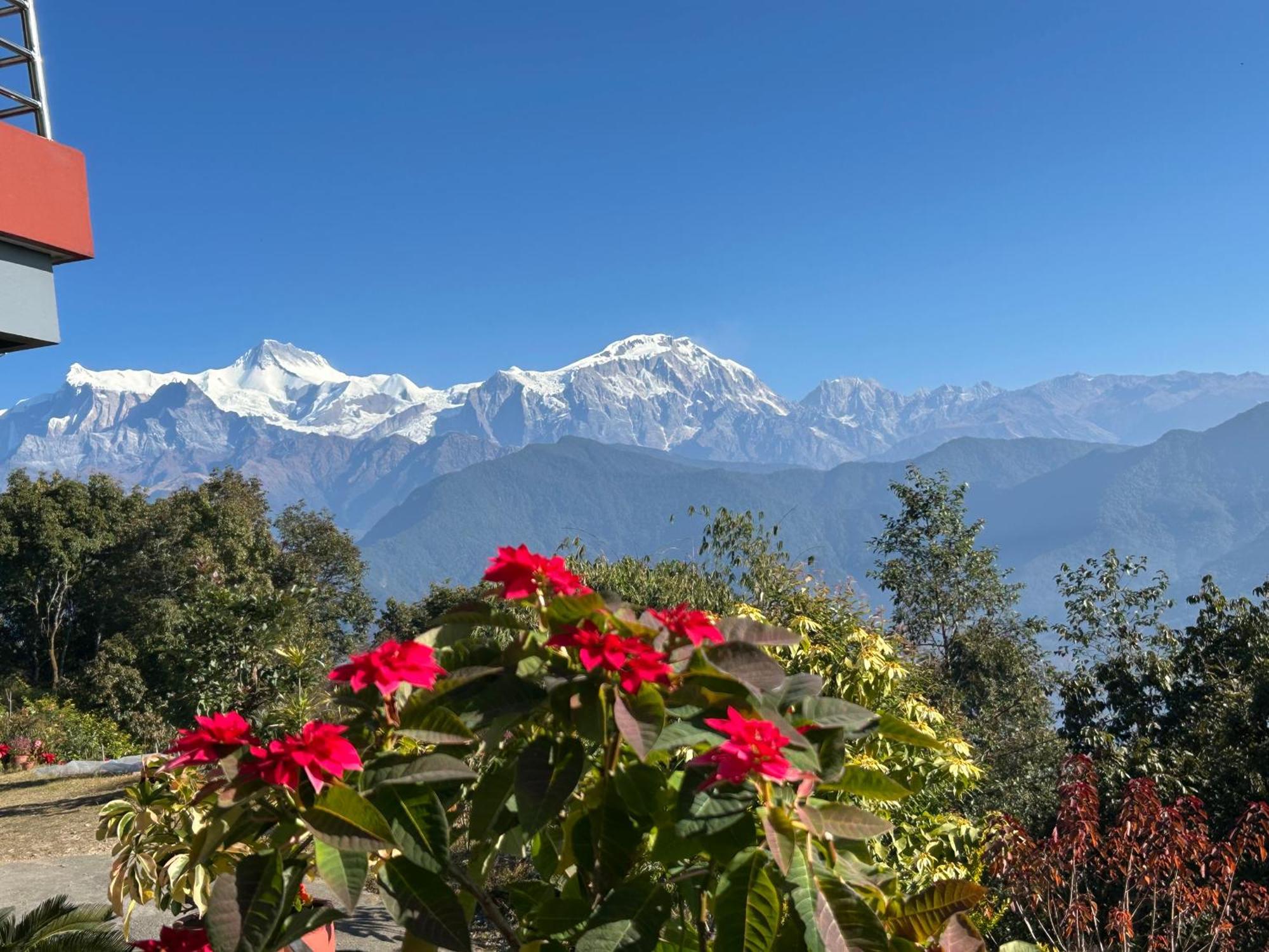 Hotel Pristine Himalaya ポカラ エクステリア 写真