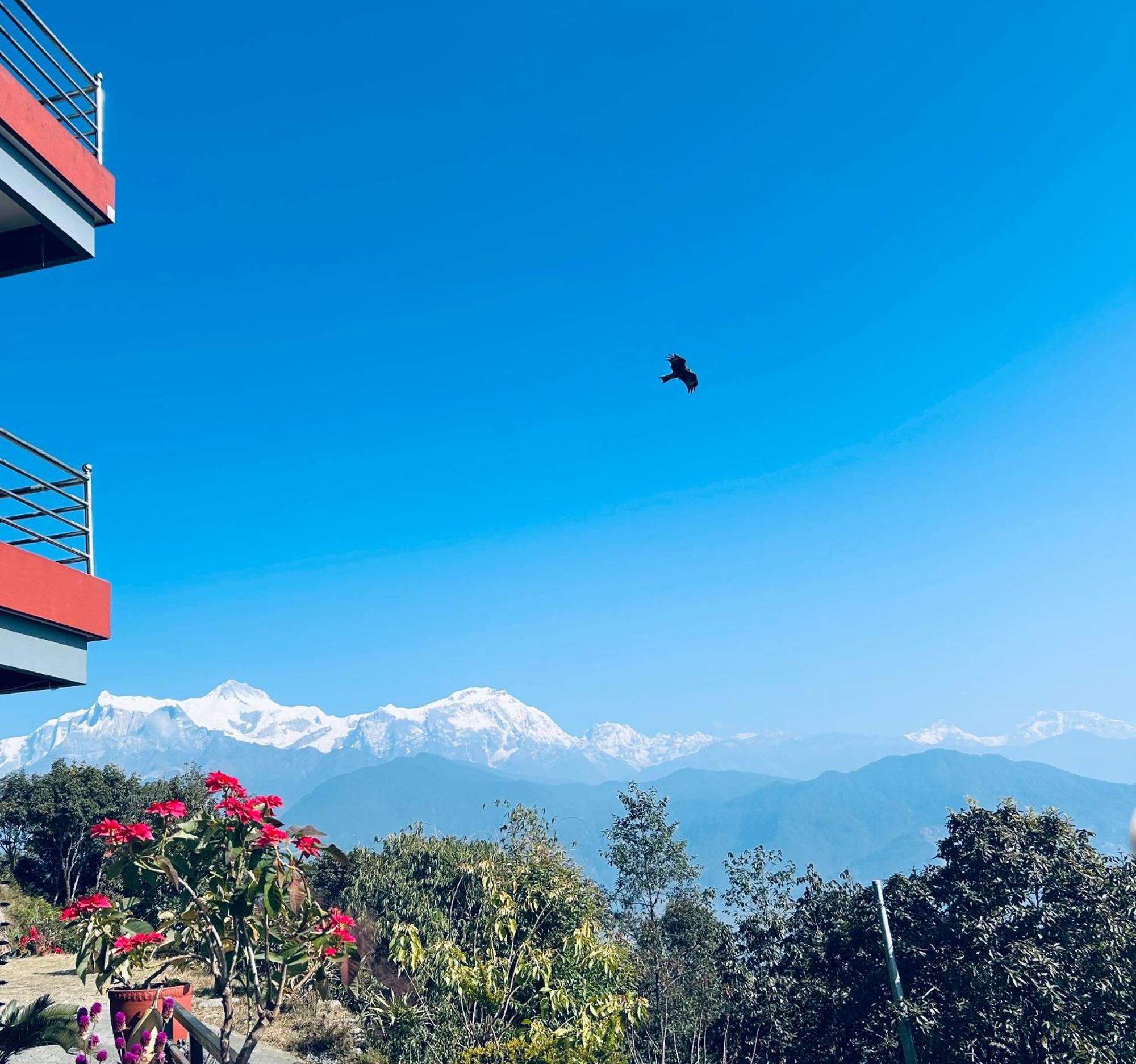 Hotel Pristine Himalaya ポカラ エクステリア 写真